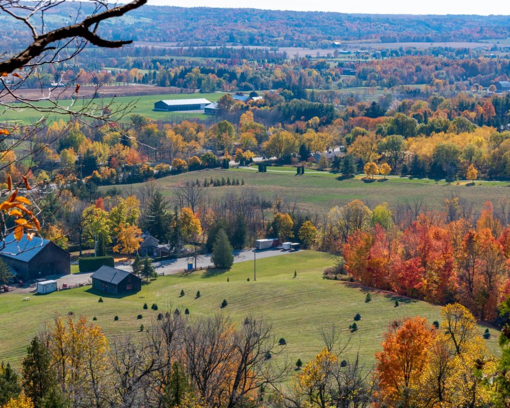 Expansive rural areas of Milton with farms and fields